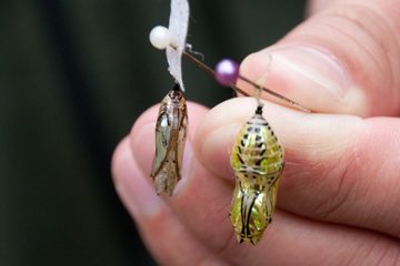 25022012-30-2.jpg