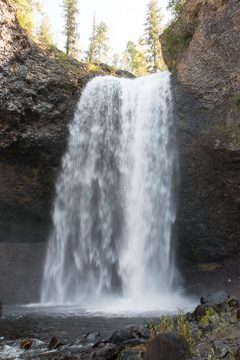 IMG_9891
