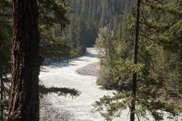 IMG_9856