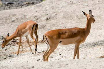 IMG_5946