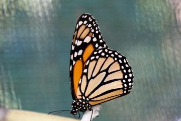 19022012-34.jpg