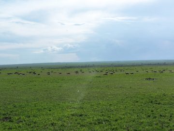 100_1537.jpg