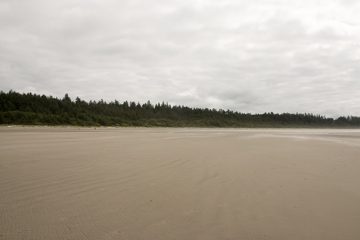 IMG_0689