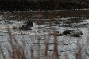 IMG_7565