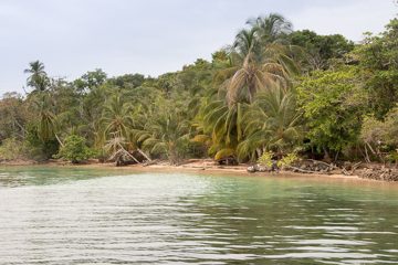 IMG_5598