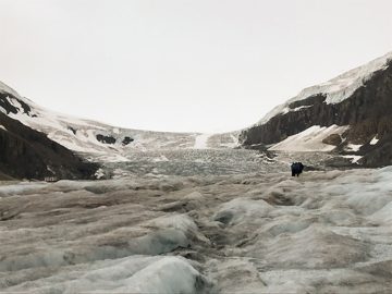 IMG_3317