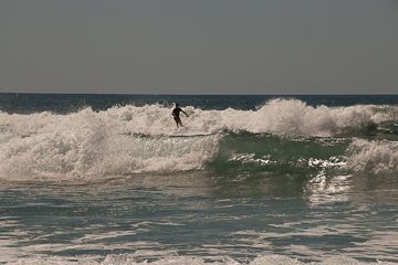 IMG_8905