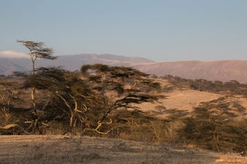 IMG_6687