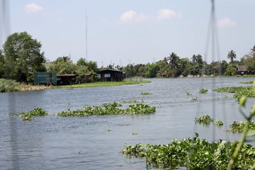 IMG_0311.jpg