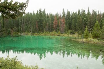 IMG_0070