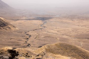 IMG_6761