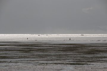 IMG_7884