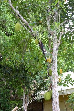 IMG_0443.jpg