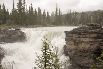 IMG_0111
