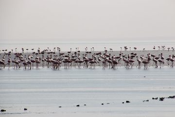 IMG_6940