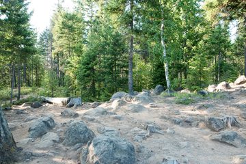 IMG_9878