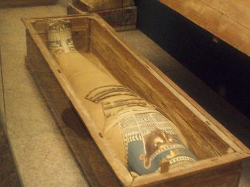 100_0386.jpg
