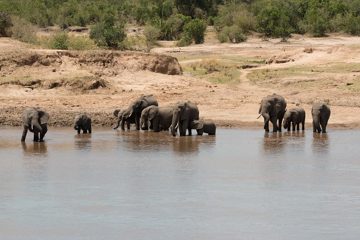 IMG_7622