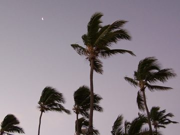 100_2747.jpg