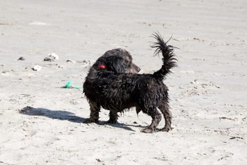 28022012-155.jpg