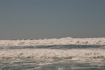 IMG_8911
