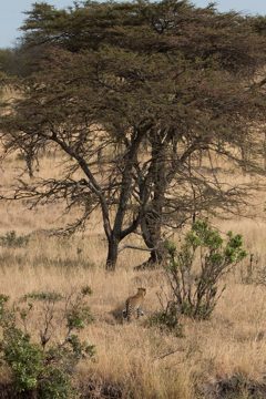IMG_7335