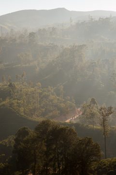 19022014-127