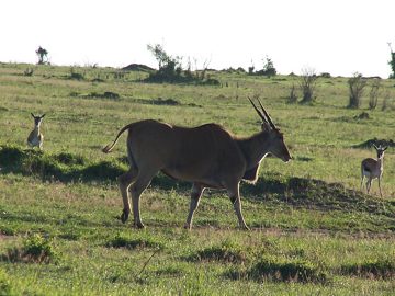 100_1571.jpg