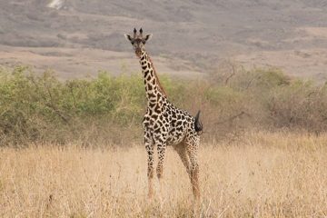IMG_6846