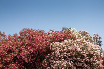 22072012-100.jpg