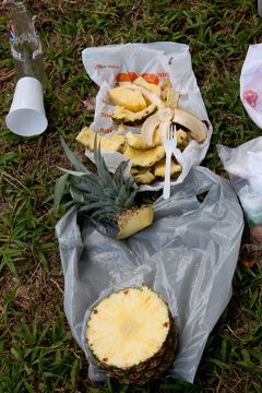 23022012-97.jpg