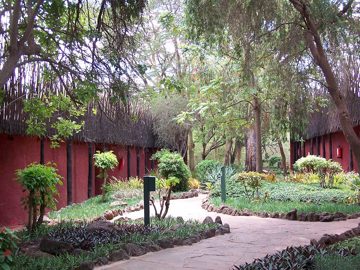100_1306.jpg