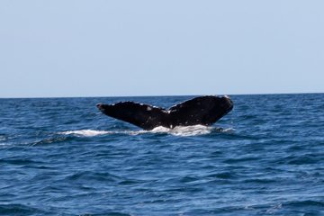 27022012-218.jpg
