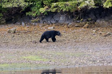 IMG_0806