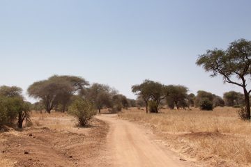 P-IMG_6339-2