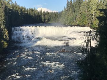 IMG_3225
