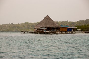 IMG_5318