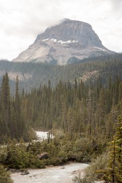 IMG_0490