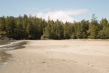 IMG_0903