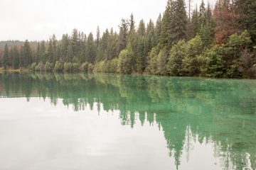 IMG_0066
