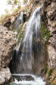 IMG_6988