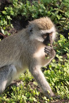 IMG_6414
