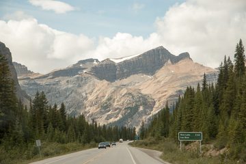 IMG_0314
