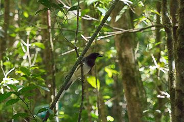 IMG_8685