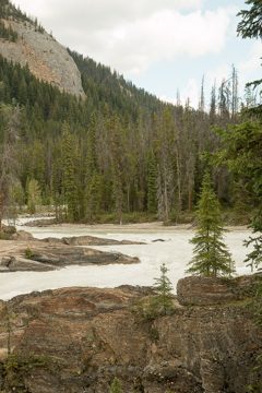 IMG_0524