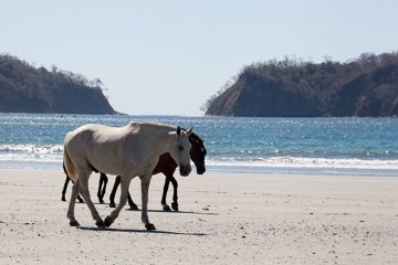 28022012-122.jpg
