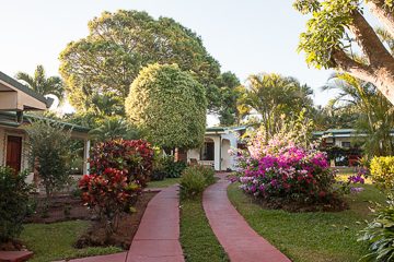 IMG_8634