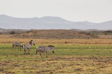 IMG_6860