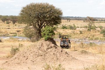 IMG_7487