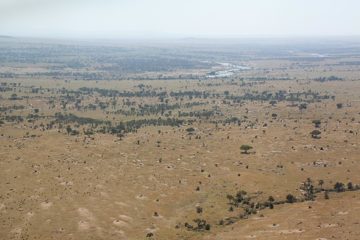 P-IMG_7039-2